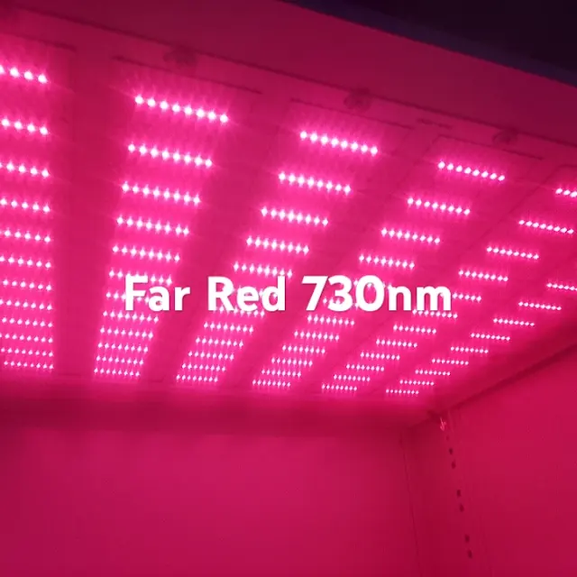 Far Red 730nm
