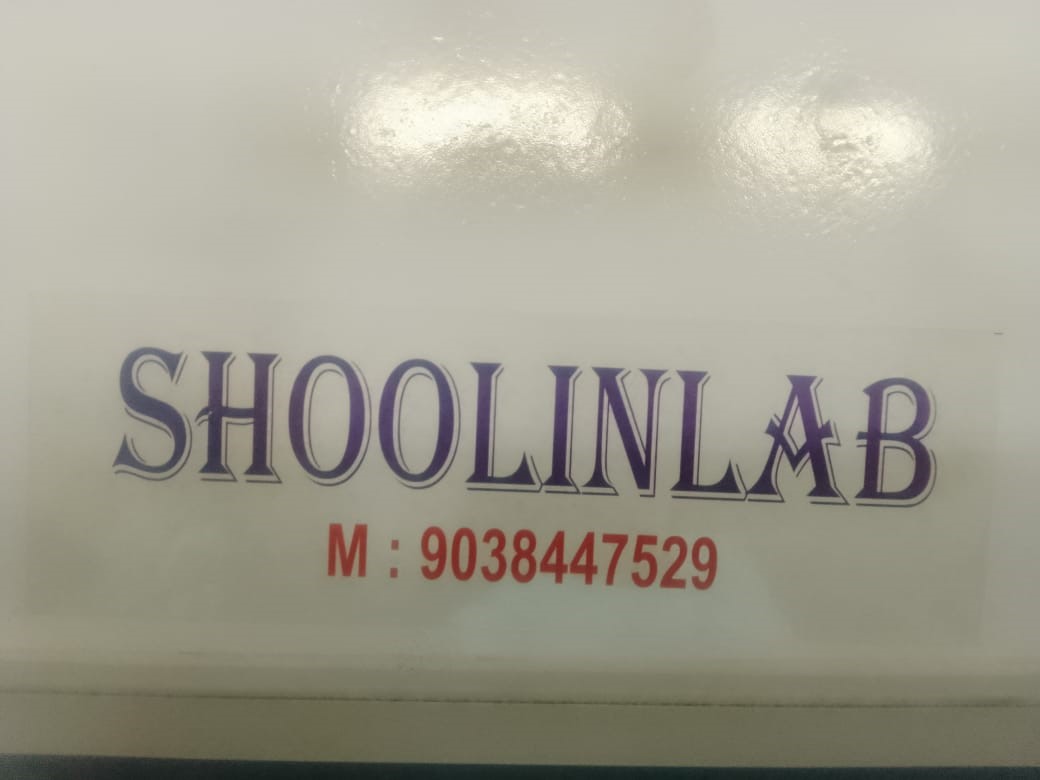 Shoolinlab Sticker